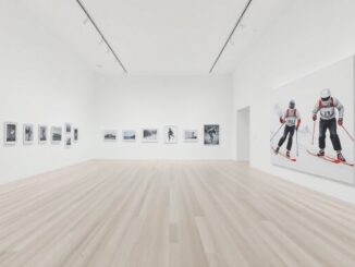 mostra di illustrazioni sugli sport invernali alla galleria manifiesto blanco 1773592239