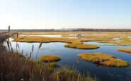 parco lago nord a paderno dugnano recupero ambientale e biodiversita 1774841409