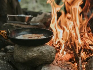 photo 1692313532975 513a383c48f7